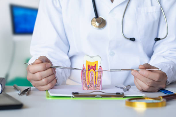 Best Tooth Pain Emergency Relief  in Clton, IN